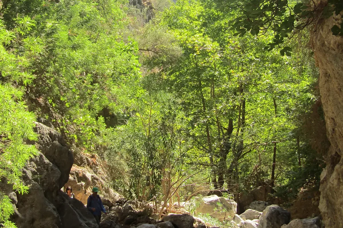 Agia Eirini Gorge: The Trail To The Libyan Sea